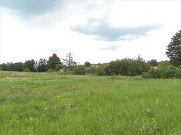 Działka budowlana na sprzedaż Komorowo Żuławskie, Komorowo Żuławskie 2 675m2 Foto 5
