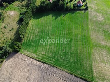 działka na sprzedaż 11600m2 działka Sulęczyno, Sulecki Borek