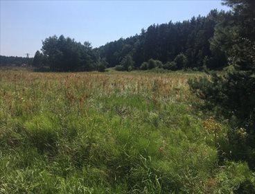 działka na sprzedaż 10300m2 działka Chęciny, Ostrów