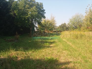 Działka komercyjna na sprzedaż Opacz-Kolonia 1 392m2 Foto 2