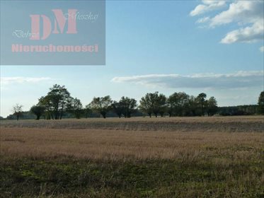 Dom na sprzedaż Brzozówka 90m2 Foto 2
