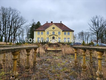Polecam ekskluzywny pałac z parkiem i stawem - inwestycja w Podegrodziu lokal użytkowy Podegrodzie