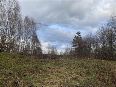 działka na sprzedaż 20000m2 działka Stanisław Górny