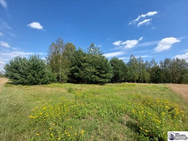 działka na sprzedaż 4383m2 działka Bielsk Podlaski, Widowo