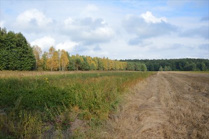 Działka 10 918 m² pod zamieszkanie i działalność w Klarowie działka Klarów