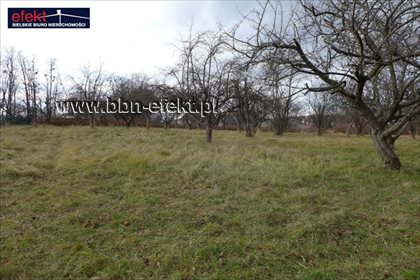 Działka budowlana na sprzedaż Bielsko-Biała, Górne Przedmieście 9 000m2 Foto 4