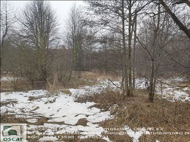 działka na sprzedaż 4300m2 działka Sławnikowice