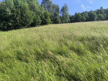 działka na sprzedaż 1658m2 działka Rajcza