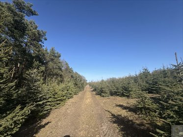 działka na sprzedaż 900m2 działka Łubowice