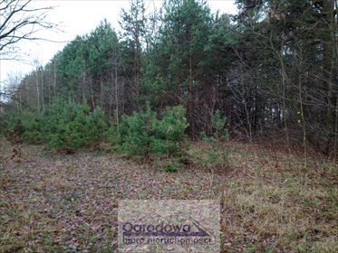 Polecam działkę 4573 m² w Nasielsku z dostępem do mediów działka Nasielsk