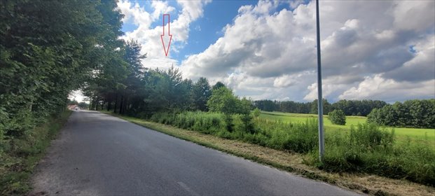 działka na sprzedaż 1333m2 działka Stawiguda