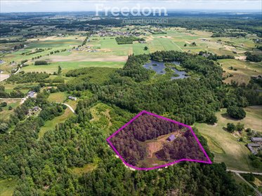 działka na sprzedaż 15500m2 działka Przyjaźń
