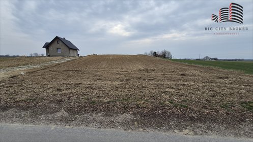 Działka 9548 m² z dostępem do asfaltu i mediami działka Antoniów-Kolonia