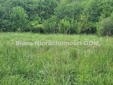 Na sprzedaż działka 4339 m² pod inwestycję lub rekreację działka Brzeziny-Kolonia