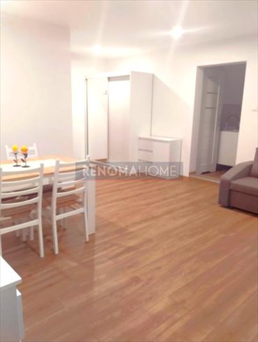 mieszkanie na wynajem 45m2 mieszkanie Zielona Góra