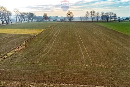 Działka budowlana na sprzedaż Dębowiec 1 025m2 Foto 5