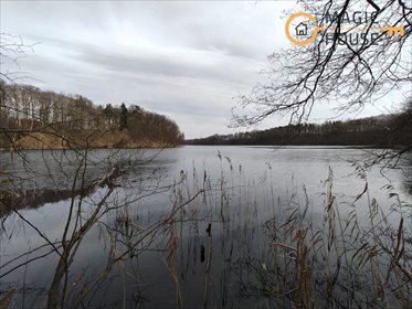 Działka rekreacyjna 4455 m² blisko jeziora w Miradowie działka Miradowo