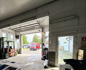 lokal użytkowy na wynajem 290m2 lokal użytkowy Międzyborów, Chełmońskiego