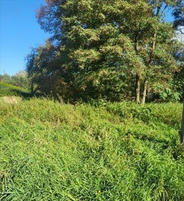 działka na sprzedaż 890m2 działka Rączna