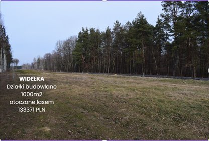 działka na sprzedaż 1004m2 działka Widełka