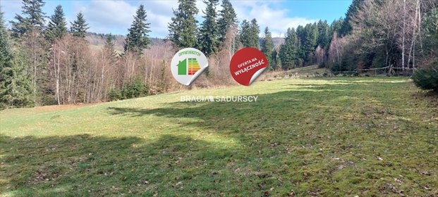 działka na sprzedaż 8000m2 działka Borzęta, Myślenice, Myślenice