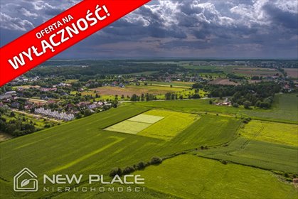 Polecam działkę 3000 m² w Wilkszynie - inwestycja pod przyszłość działka Wilkszyn
