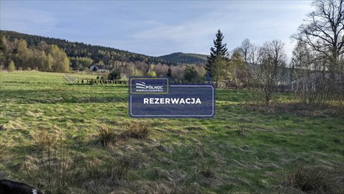 działka na sprzedaż 2000m2 działka Świeradów-Zdrój, Długa