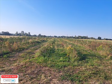 działka na sprzedaż 22000m2 działka Łubnice, Przeczów