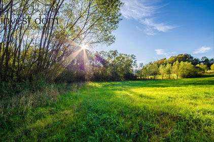 Działka 5,68 ha z mediami w Beskidzie Niskim - polecam działka Śnietnica