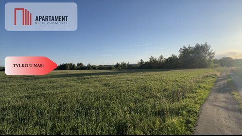 działka na sprzedaż 35100m2 działka Kochlice