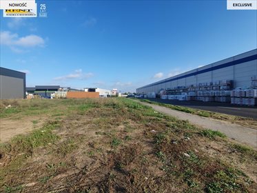 działka na wynajem 1482m2 działka Szczecin, Michała Kmiecika