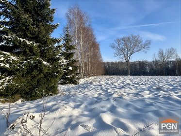 Działka 2134 m² w Ładzinie - zapraszam działka Ładzin