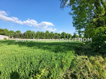 Działka 3137 m² pod zabudowę i agroturystykę - Borowno działka Borowno, Kolonia