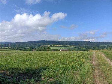 działka na sprzedaż 700m2 działka Międzylesie