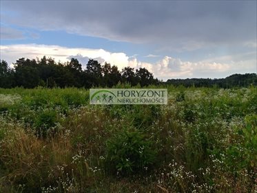 Działka budowlana pod dzierżawę Mściszewice 3 872m2 Foto 7