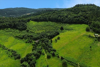 Działka inwestycyjna 92 ha w Srebrnej Górze z dostępem działka Srebrna Góra, Nowe Miasto