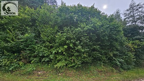 Działka 53a z lasem, dostęp do mediów, spokojna okolica działka Niebyła
