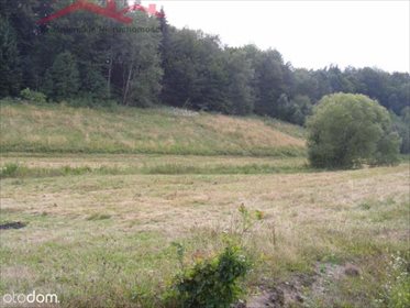 Działka budowlana na sprzedaż Malinówka 2 000m2 Foto 2