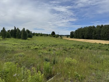 DZIAŁKA ROLNA NR 112/11 O POWIERZCHNI 7 256 m² – N działka Natolin
