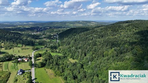 Działka rolno-leśna 8,64 ha Iwla - zalesienie i dopłaty działka Iwla