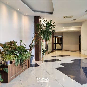 lokal użytkowy na wynajem 260m2 lokal użytkowy Kraków, Bronowice