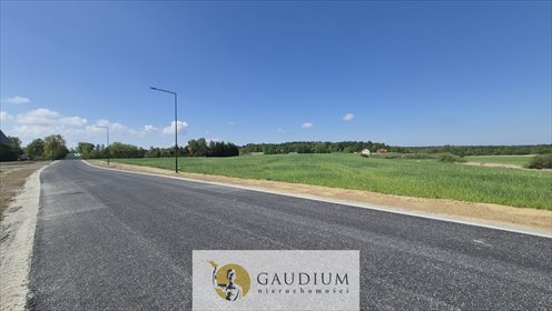 Działka przemysłowa w strefie ekonomicznej 60 000 m² działka Sztum