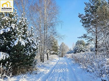 działka na sprzedaż 2000m2 działka Kolonia Góra Puławska
