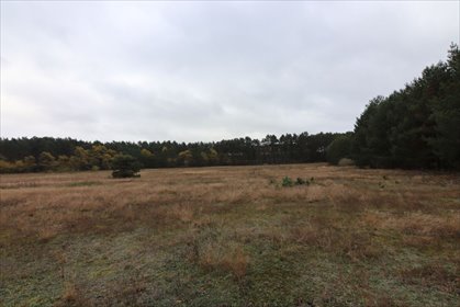 Działka 54 700 m² pod turystykę w Trzebowie - zapraszam działka Trzebów
