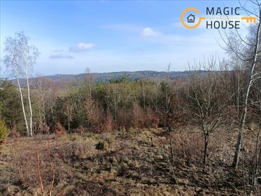 działka na sprzedaż 12618m2 działka Stara Huta, Perłowa