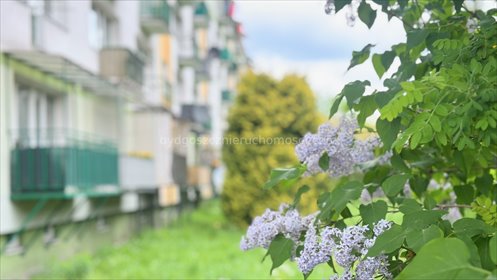 Wyżyny, 3 pokoje, balkon, do własnej aranżacji mieszkanie Bydgoszcz, Wyżyny