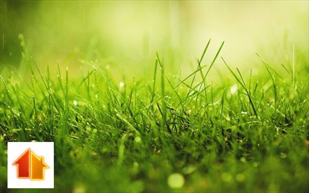 Polecam działki budowlane w Rybniku 5631 m² z możliwością usługową działka Rybnik, Walecznych