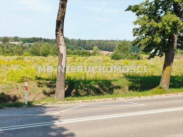 Działka inwestycyjna na sprzedaż Barczewo, Barczewo 39 554m2 Foto 5