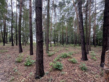 działka na sprzedaż 3313m2 działka Konstancin-Jeziorna, Konstancin-Jeziorna