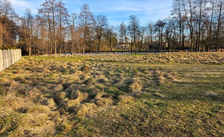 działka na sprzedaż 790m2 działka Żarki, Koziegłowska